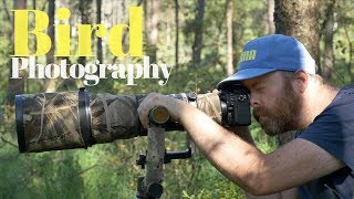 How to photograph small birds | BIRD PHOTOGRAPHY - tutorial