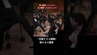 ソンジン×アルゲリッチ2人の色~静かなる精密 vs 炎の爆発 《Tchaikovsky No.1》 #ショート