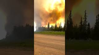 Aggie Creek Fire Behavior Near Elliott Highway - AK DOF - July 3, 2025