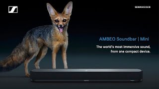 Introducing the AMBEO Soundbar Mini | Sennheiser
