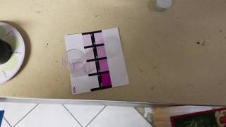 Two Week Follow Up On Fauna Marins Bacto Reef Balls