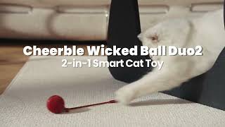 Wicked Ball Duo2 - 2-in-1 Interactive Cat Toy