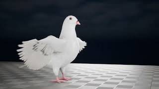 Pigeon Game 360 screenshot 4