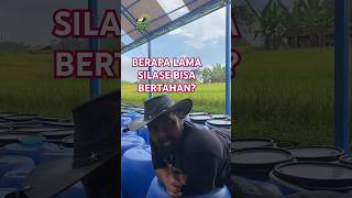 Berapa Lama Sih Silase Disimpan Dalam Tong silase beternakkambing