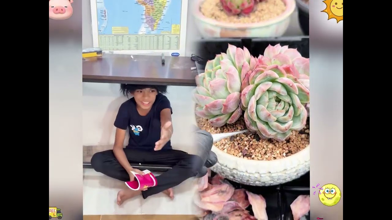 2026 pov Must-Watch Crazy Clips Compilation #humor #fypシ #pov #fyp #foryou 😍😜