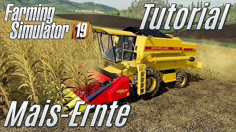 LS19: Tutorial: Mais-Ernte - für Einsteiger