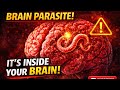 A Parasite That Quietly Lives Inside the Human Brain