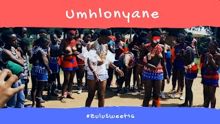 Umhlonyane kaZanobuhle|| SouthAfricanYouTuber