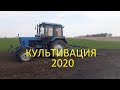 Культивация 2020