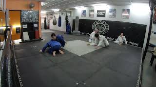 Jiu Jitsu Rolls - #179