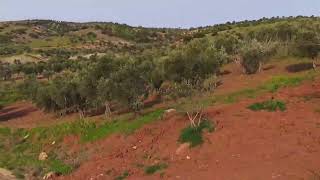 Ozan Ali Dağci - Vay Dünya Dünya