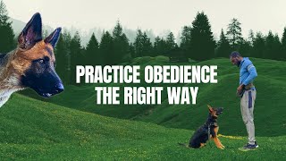 PROPER WAY TO PRACTICE OBEDIENCE WITH YOUR DOG