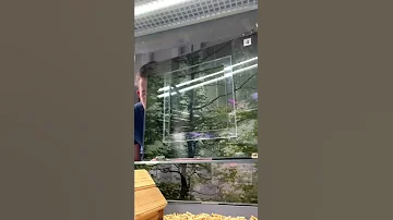 А КАКОЙ ТЫ ХОМЯЧОК? 🐹