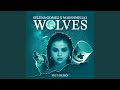 Miniature de la vidéo de la chanson Wolves (Moti Remix)