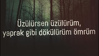 Ömrüm/ Yaniram - Sadiq Haji/Tamara (2 Şarkı 🎵)