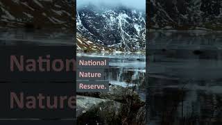 3 Top Forest Walks Near Anglesey - You Won't Believe How Beautiful They Are! #shorts