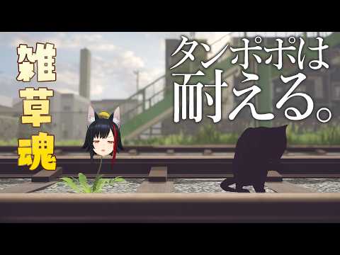 「【タンポポは耐える。】雑草魂🔥🔥【ホロライブ/大神ミオ】」のサムネイル