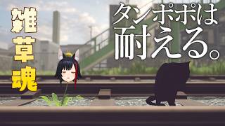 【タンポポは耐える。】雑草魂🔥🔥【ホロライブ/大神ミオ】