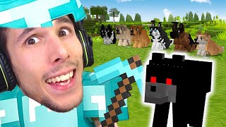 A CACCIA DELLA NUOVA RAZZA di CANI nel NUOVO MINECRAFT!! | Gabby VANILLA *LIVE*