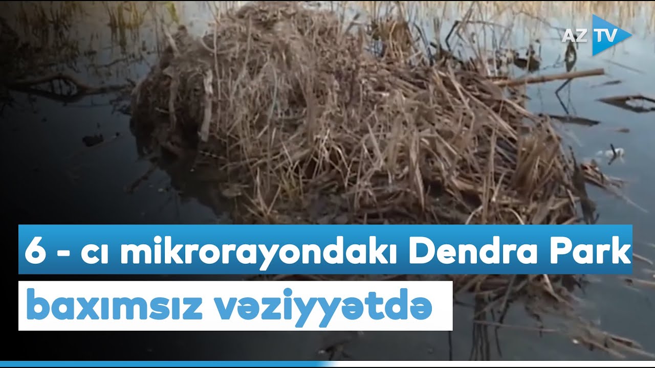 6 - cı mikrorayondakı Dendra Park baxımsız vəziyyətdə