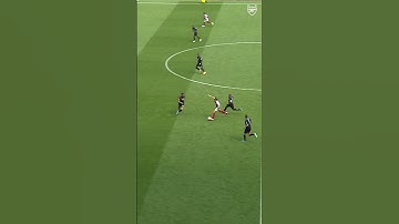 STOP THAT RICCARDO CALAFIORI 😱