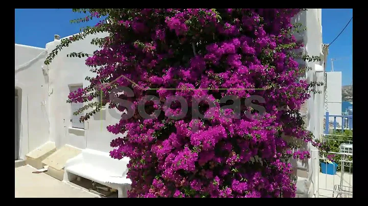 Scopas:A571 House of 100m2  for sale in Paroikia,  Paros island, Greece. SOLD/ NOT AVAILABLE