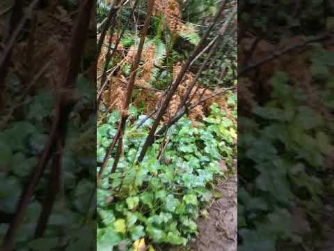 Water rushing off