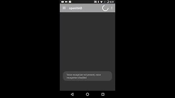 Complete Guide Access OpenHAB on mobile iOS and Android