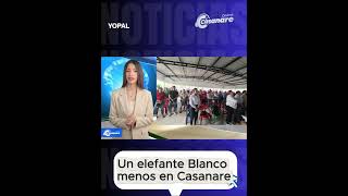 #casanareonline ||   Gobernación y Alcaldía de Tauramena reactivan construcción de puente sobre el r