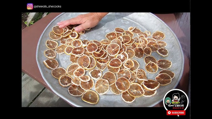 How To Dehydrate Lemons In The Oven 