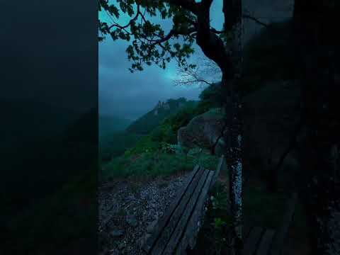 Tenang itu Emas 🤭 #shorts #shortvideo #viral #youtubeshorts #viralvideo