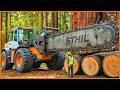 Dangerous Fastest Chainsaw Cutting Tree Machines - Monster Stump Removal Excavator #2