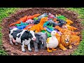Menemukan dan Menolong Hewan Sapi, Gajah, Kambing, kuda, Kerbau, Singa