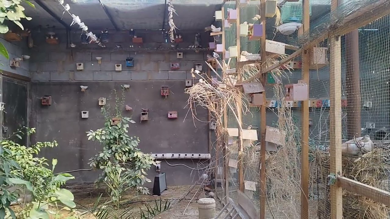 توفير الخدمات لتربية الطيور والعمل في فصل الشتاء في المحميات