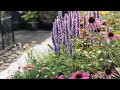 August garden tour with everything included  perennial garden