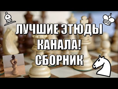 СБОРНИК ЛУЧШИХ ЭТЮДОВ КАНАЛА! | Часть 1