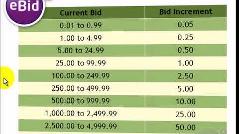 What Is A Bid Increment? - eBid How To Video