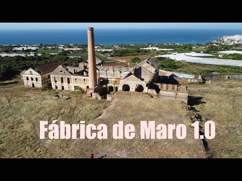 Miniatura del vídeo
