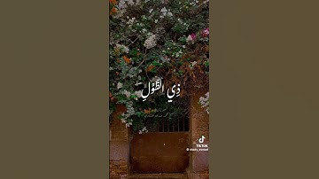 أكتب شئ تؤجر عليه 🦋🤎| حالات واتس اب قرآن كريم| قرآن كريم| #حالات_واتس #لايك #اكسبلور