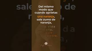 wayne dyer zumo de naranja #wayndyer