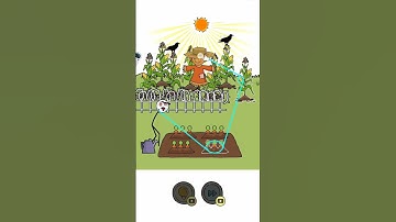 Thief puzzle level 398#ytshorts#gaming#answer walkthrough