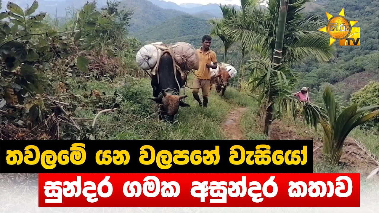 තවලමේ යන වලපනේ වැසියෝ - සුන්දර ගමක අසුන්දර කතාව  - Hiru News