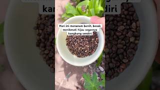 Hijaukan hari dengan menanam 🌱🌿 #shortvideo #aktivitasdiladangberkebun #berkebun #suasanakampung