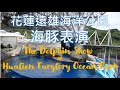 2012 花蓮遠雄海洋公園海豚表演 The Dolphin Show at Hualien Farglory Ocean Park