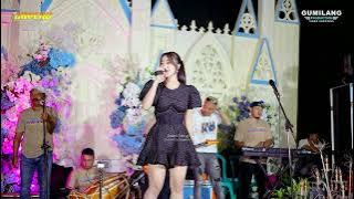 Download lagu NEW GAPERO - IF YOU COME BACK - AMEL SILVI - WEDDING FANI & SOFIK - KUNCI WONOSALAM DEMAK