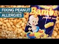 Understanding Peanut Allergies
