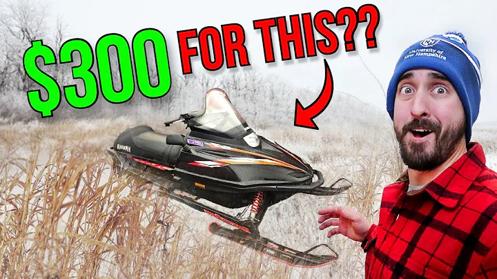 Yamaha Snowmobile Left in Woods for 8 years! (Will...