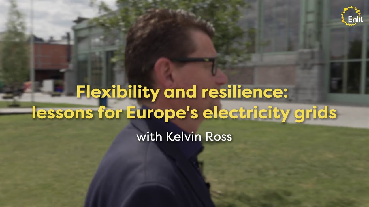 Flexibility and resilience: lessons from the Iberia blackout for Europe's electricity grids