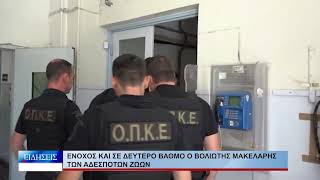 Βόλος Ένοχος και σε δεύτερο βαθμό ο Βολιώτης μακελάρης των αδέσποτων ζώων 290626