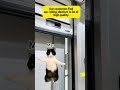 High Speed Doors #door #pvc #doors #highspeeddoor #rollingdoor